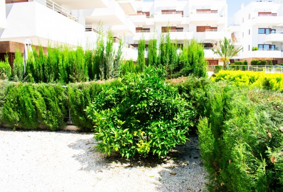 Revente - Appartement - Orihuela Costa - Cabo Roig