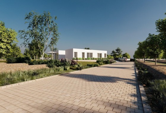 Nouvelle construction - Villa - Benejúzar - alta