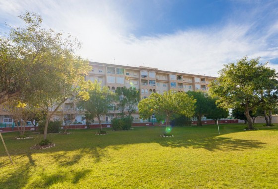 Resale - Apartment - Torrevieja - Parque las naciones