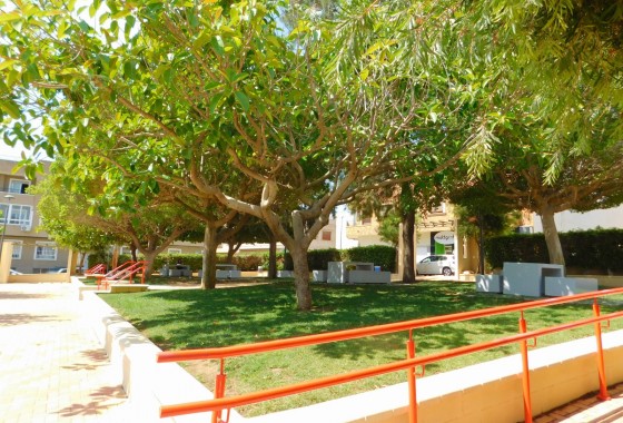 Location à long terme - Appartement - San Miguel de Salinas - San Miguel Salinas