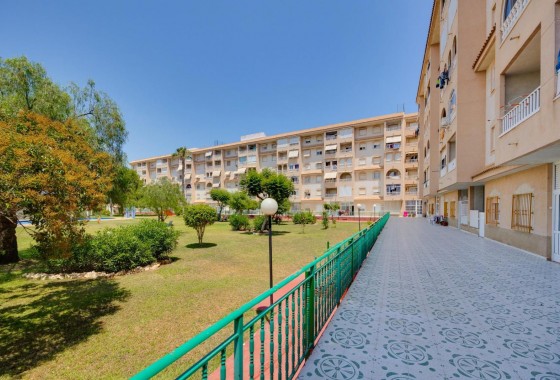 Revente - Appartement - Torrevieja - Parque las naciones