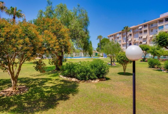 Revente - Appartement - Torrevieja - Parque las naciones