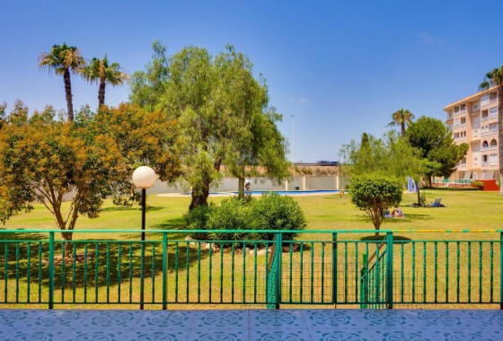 Revente - Appartement - Torrevieja - Parque las naciones
