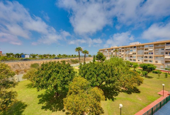 Revente - Appartement - Torrevieja - Parque las naciones