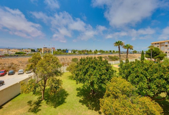 Revente - Appartement - Torrevieja - Parque las naciones
