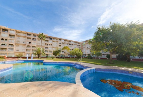 Revente - Appartement - Torrevieja - Parque las naciones