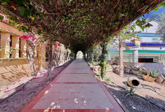 Segunda Mano - Finca - San Fulgencio - La Marina