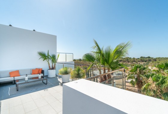 Revente - Duplex Penthouse - Villamartin - La fuente
