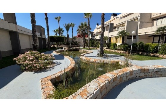 Segunda Mano - Apartamento - Torrevieja - La Mata