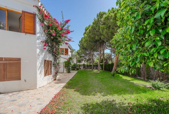 Segunda Mano - Chalet - Orihuela Costa - Cabo Roig