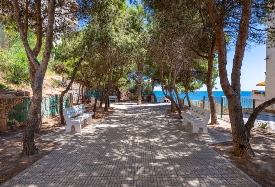 Segunda Mano - Apartamento - Orihuela Costa - Cabo Roig