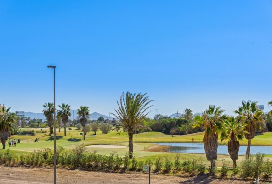 Obra nueva - Chalet - San Javier - Parque del doce