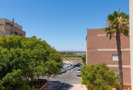 Segunda Mano - Apartamento - Torrevieja - La Mata pueblo