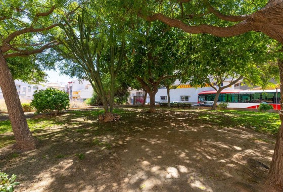 Segunda Mano - Apartamento - Torrevieja - La Mata pueblo