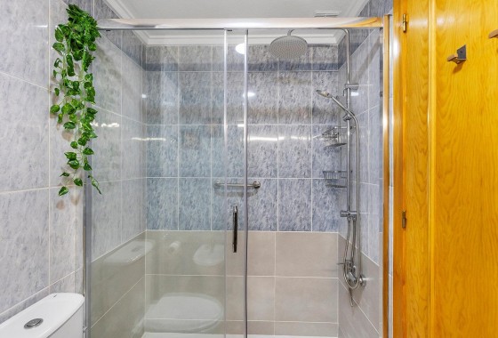 Segunda Mano - Apartamento - Torrevieja - Habaneras