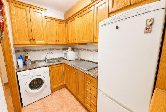 Segunda Mano - Apartamento - Torrevieja - Estacion de autobuses