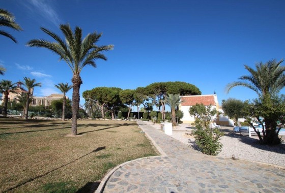 Segunda Mano - Bungalow - Torrevieja - Los Balcones - Los Altos del Edén