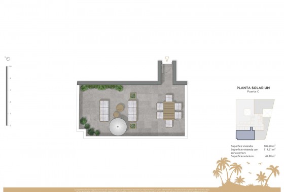 Obra nueva - Apartamento - Guardamar del Segura - Pueblo
