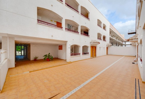 Obra nueva - Apartamento - San Fulgencio - San Fulgencio Pueblo