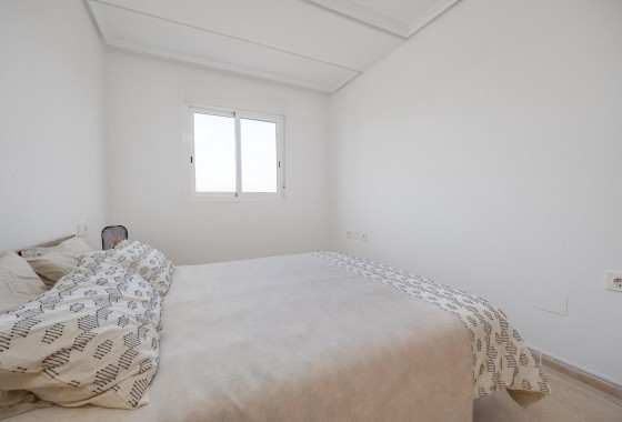 Obra nueva - Apartamento - San Fulgencio - San Fulgencio Pueblo