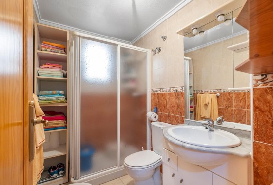 Segunda Mano - Apartamento - Torrevieja - Estacion de autobuses