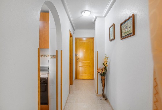 Segunda Mano - Apartamento - Torrevieja - Estacion de autobuses