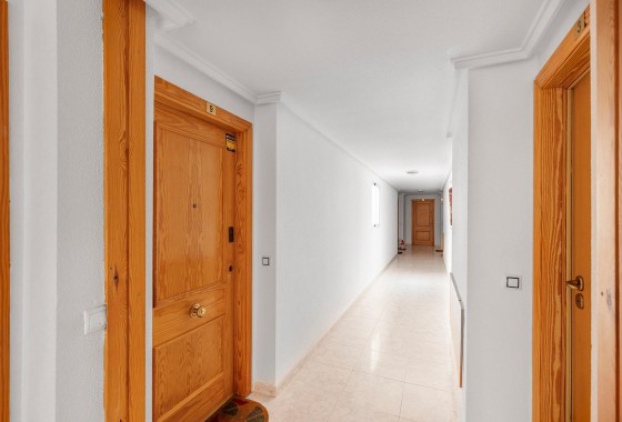 Segunda Mano - Apartamento - Torrevieja - Estacion de autobuses