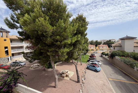Segunda Mano - Apartamento - Villamartin