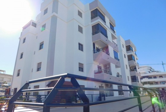 Segunda Mano - Apartamento - San Miguel de Salinas