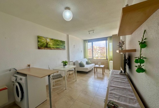Segunda Mano - Apartamento - Torrevieja - Cabo cervera
