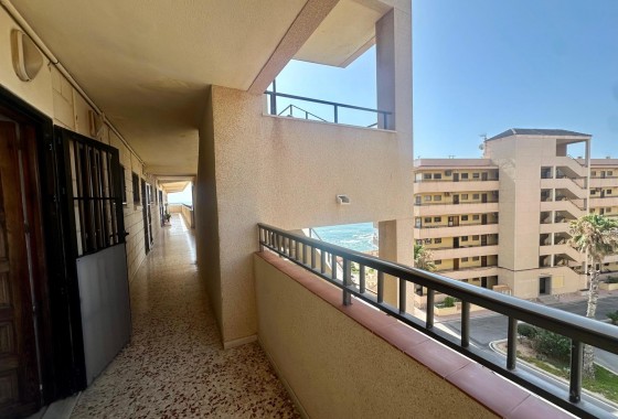 Segunda Mano - Apartamento - Torrevieja - Cabo cervera