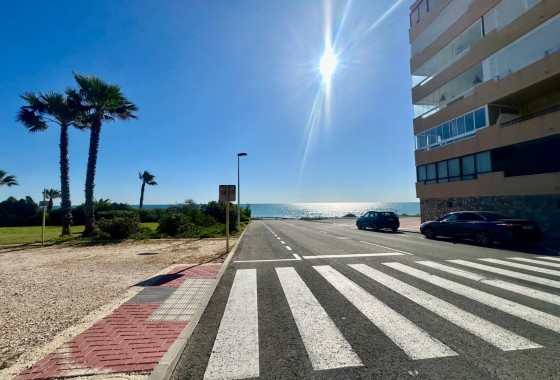Segunda Mano - Apartamento - Torrevieja - Cabo cervera