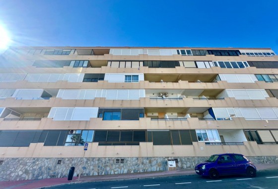 Segunda Mano - Apartamento - Torrevieja - Cabo cervera