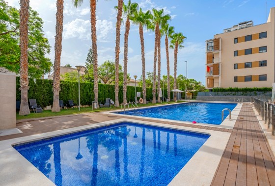 Revente - Appartement - El Campello - Muchavista