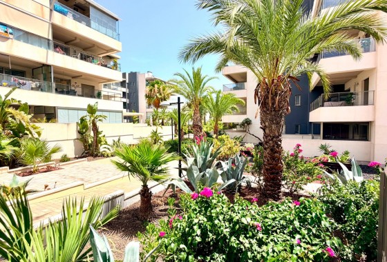 Resale - Apartment - Orihuela Costa - La Zenia