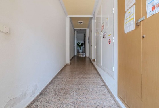 Revente - Appartement - Torrevieja - El molino