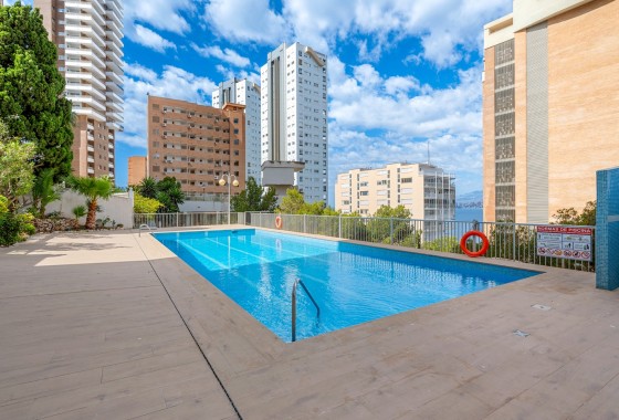 Revente - Appartement - Benidorm - Levante*