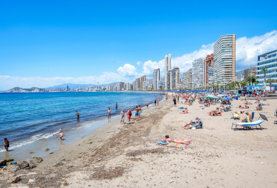 Revente - Appartement - Benidorm - Levante*
