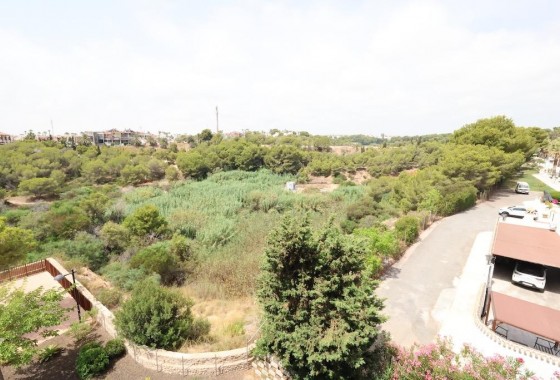 Segunda Mano - Apartamento - Orihuela Costa - Villamartin