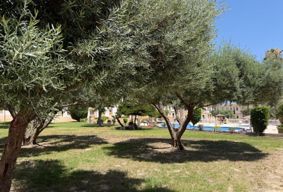 Revente - Appartement - Orihuela Costa - Blue Lagoon