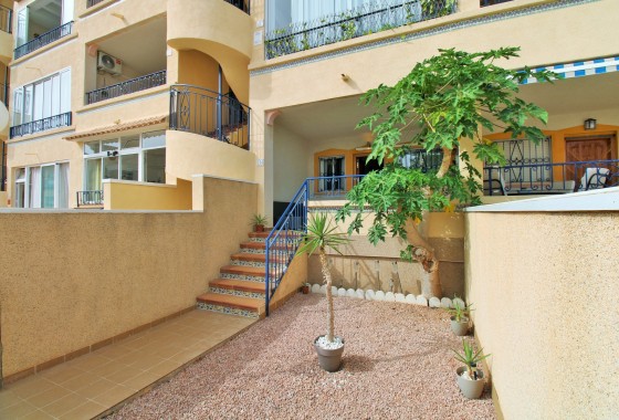 Segunda Mano - Apartamento - Punta Prima