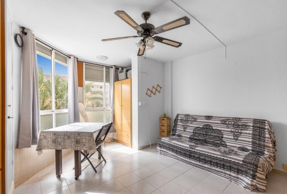 Segunda Mano - Estudio - Torrevieja - Torreblanca