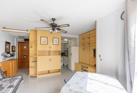 Segunda Mano - Estudio - Torrevieja - Torreblanca