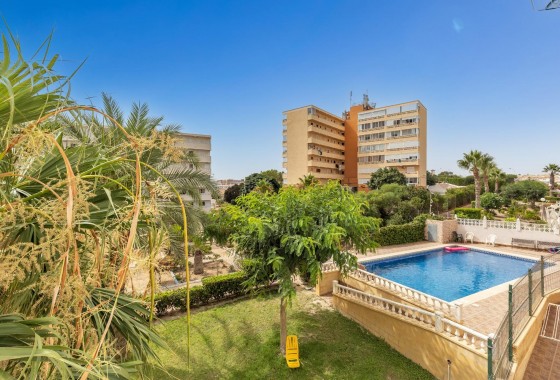 Segunda Mano - Estudio - Torrevieja - Torreblanca
