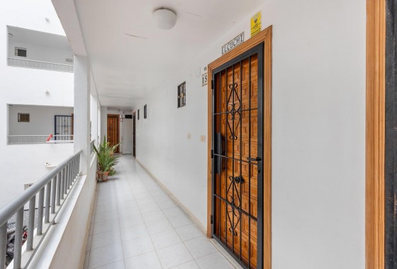 Segunda Mano - Estudio - Torrevieja - Torreblanca