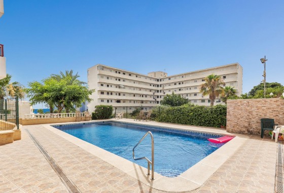 Segunda Mano - Estudio - Torrevieja - Torreblanca