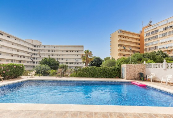 Segunda Mano - Estudio - Torrevieja - Torreblanca