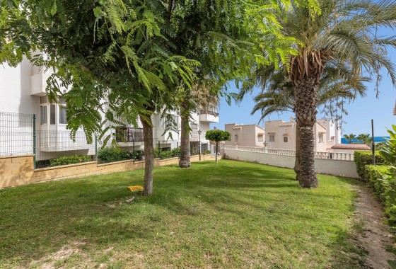 Segunda Mano - Estudio - Torrevieja - Torreblanca