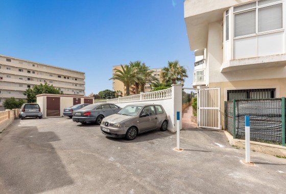 Segunda Mano - Estudio - Torrevieja - Torreblanca