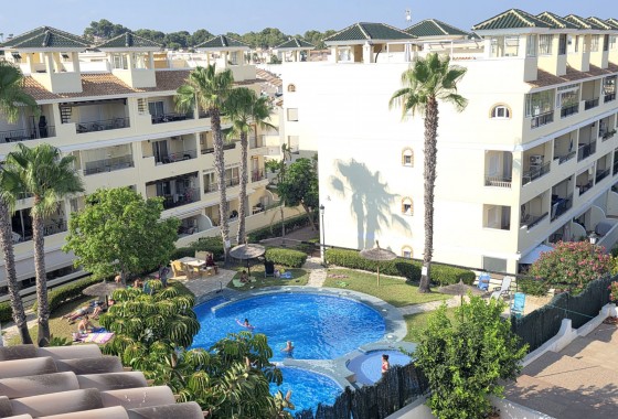 Segunda Mano - Apartamento - Villamartin - Verdemar